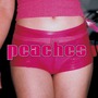 Peaches album The Teaches Of Peaches