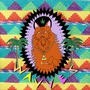 Wavves album King Of The Beach