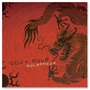 Gov't Mule album Mulennium