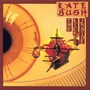 Kate Bush album The Kick Inside