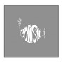Phish album The White Tape