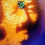 Phish album A Picture Of Nectar