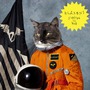Klaxons album Surfing The Void