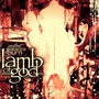 Lamb Of God album As The Palaces Burn