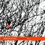 Death Cab For Cutie album The Forbidden Love E.P.