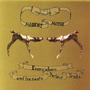 Modest Mouse album Everywhere And His Nasty Parlour Tricks