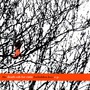 Death Cab For Cutie album Forbidden Love E.P.