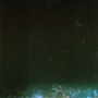 Tarentel album From Bone To Satellite