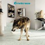 Grinderman album Grinderman 2