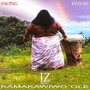 Israel Kamakawiwoʻole album Facing Future