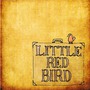 Dave Matthews Band album Little Red Bird