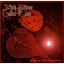 Silent Stream Of Godless Elegy album Behind The Shadows