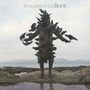 Shearwater album Rook