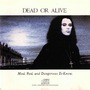 Dead Or Alive album Mad, Bad, And Dangerous To Know.
