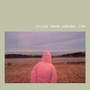 David Darling album Cycles