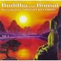 Oliver Shanti album Buddha And Bonsai, Volume 1