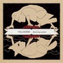 Villagers album Becoming A Jackal