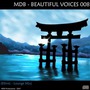 Beautiful Voices 008 (Ethnic-Lounge Mix)