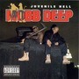 Mobb Deep album Juvenile Hell
