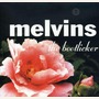 Melvins album The Bootlicker