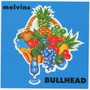 Melvins album Bullhead