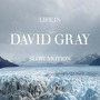 David Gray album Life In Slow Motion