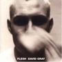 David Gray album Flesh