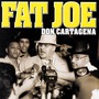Fat Joe album Don Cartagena