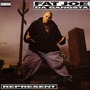 Fat Joe album Represent