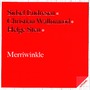 Sidsel Endresen & Christian Wallumrød & Helge Sten album Merriwinkle