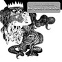 Final Fantasy album He Poos Clouds