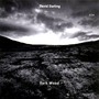 David Darling album Dark Wood