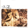 From Autumn To Ashes album Sin, Sorrow And Sadness