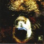 Element Eighty album The Bear