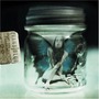 Evans Blue album The Melody And The Energetic Nature Of Volume