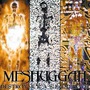 Meshuggah album Destroy Erase Improve