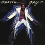 Marvin Gaye album In Our Lifetime (Re-Release)