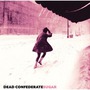 Dead Confederate album Sugar