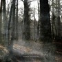 Gallowbraid album Ashen Eidolon