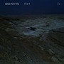 Anat Fort Trio album And If