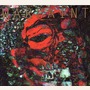 Warpaint album The Fool