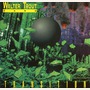 Walter Trout Band album Transition