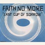 Last Cup Of Sorrow: Blue Vertigo