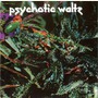 Psychotic Waltz album Mosquito