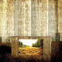 Hey Rosetta! album Seeds
