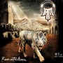 IAM (FRA) album Revoir Un Printemps