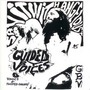 Guided By Voices album Tonics & Twisted Chasers