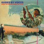 Guided By Voices album Under The Bushes Under The Stars