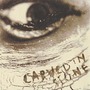 Vince Neil album Carved In Stone