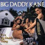 Big Daddy Kane album It's A Big Daddy Thing